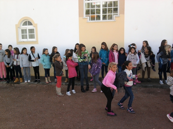 Magusto 2014