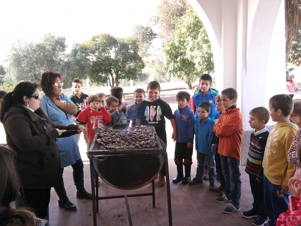 Magusto 2014