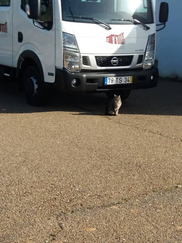 Limpeza Trajecto Ajuda