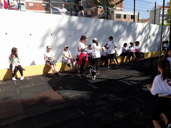 Caminhada Dia da Mãe 2018