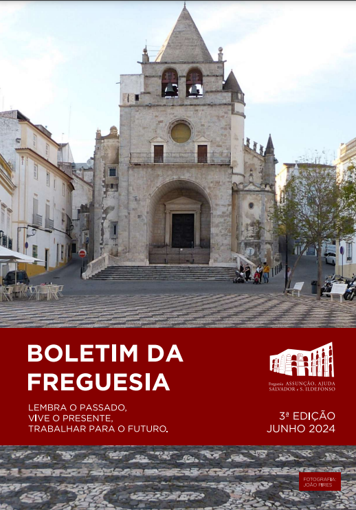 Boletim 3